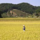 시골놀이터 이미지