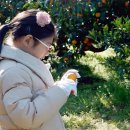 해맑은농장 이미지