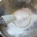 명랑한도그 이미지