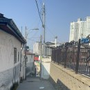 농장다리 이미지
