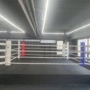 더 케이오짐 이미지