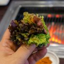 한우농장 이미지