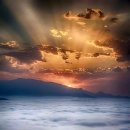 유정야식 이미지