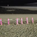 은하수카튠 이미지