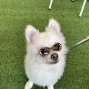(주)멕시칼리 네이버블로그