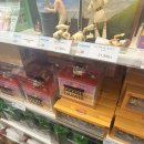 꾸미버스