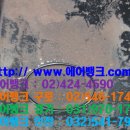 대영프라자 이미지