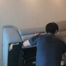 방역소독하와이케어