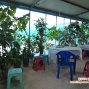 호동바닷가가든 이미지