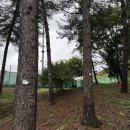 인재개발원 테니스장 네이버블로그