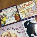 영어 그림책과 함께하는 어린이 영어 이미지