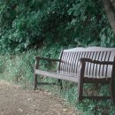 논현무료급식 이미지