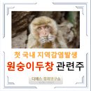 엠에스용역 | '원숭이두창'관련주 / 국내 첫 지역감염 발생 / WHO - 국제보건비상사태 선언