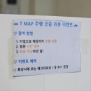 데이지 | 천안 브런치 카페 시유당, 샤스타데이지 실시간 후기