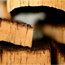 안경매니져 율량점 이미지