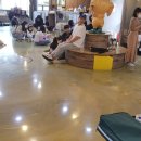 포포 데이케어 네이버블로그