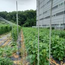 풍년농장 이미지