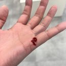 모모동물병원 이미지