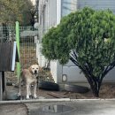 구상모터스 이미지