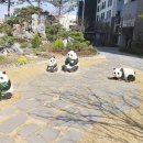 수목원중앙부동산공인중개사사무소 이미지