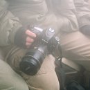 정원산책 카페 이미지