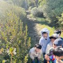 (10/20) 화순군 수만리 숲체험🌳 이미지