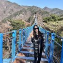 무실하늘약국 | 힘들 줄 알았는데 편했다! 원주 소금산 케이블카 코스 후기 (출렁다리·울렁다리·에스컬레이터)