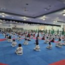 용인대푸른태권도 이미지