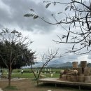 장풍목장 | 나트랑 <판랑 사막 단독 투어> 내돈내산 솔직후기