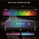 한빛자이스 이미지