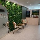 숲속세신 이미지