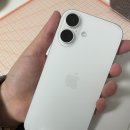 17 | 📱 아이폰17 늦은 후기 (폰꾸와 마이그레이션 꿀팁🍯을 곁들인..)