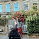 꿈이있는땅 이미지