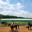 제주랜드부동산중개사무소 | 제주 제2공항 최대 수혜지! 성산 난산리 8517평, 초대형 목장용지, 먼 바다/한라산 뷰
