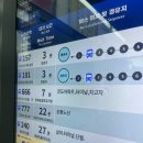 온천로터리종합시장 | 충주 1박2일 여행 | 고운산나물식당, 브런치챱챱, 더블하모니, 대성야채만두