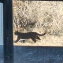 지에스(GS)25대구검단대로점 | 3월 2주차 기록