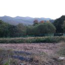 충도리농장 이미지