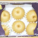 금배농장 이미지