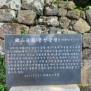 [제주 애월] 난대림 수목의 천국 금산공원