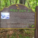 불기 2569년 부처님 오신날 부산 선암사, 삼광사 (2025.5.5일)