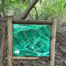 천안 광덕산 8월 등산코스 소요시간 (주차장-광덕사-팔각정-광덕산정상-석류봉-주차장) 후기