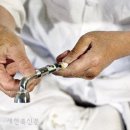 백동 이미지