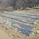 내대리 농장 이미지