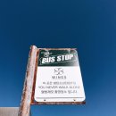 향호농장 | 강릉 가볼만한곳, 버스 타고 도깨비+방탄소년단 촬영지/핑크뮬리/허브농장