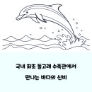 울산광역시남구도시관리공단(장생포고래생태체험관) | 장생포 고래생태체험관 방문 가족들을 위한 체험 안내와 추천 프로그램