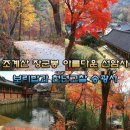 11월10일(화요일) 조계산-송광사 숲길(전남/순천) 블랙야크 100대 명산 단풍산행 이미지