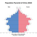 GS25 해운주성점 | 중국의 현황과 생존 시나리오