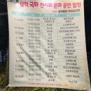 국화전시회 버스킹 문화공연 이미지