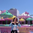 [VLOG]🎡유니버셜스튜디오재팬 후기 🎢 USJ 동키콩 닌텐도월드 해리포터존 꿀팁 먹거리 총정리 🇯🇵