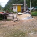 농부네텃밭민박 이미지